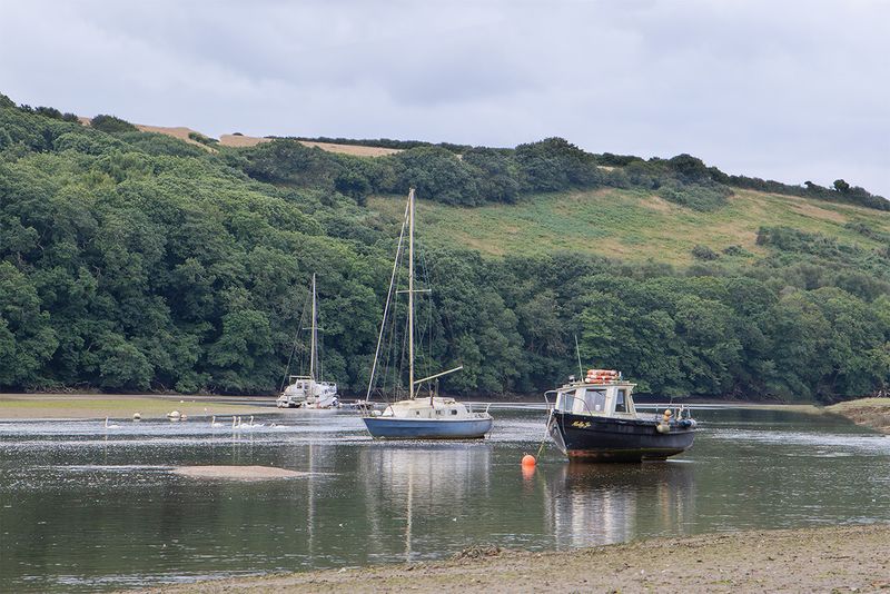 Avon Estuary at Aveton Gifford 01-08-25.jpg