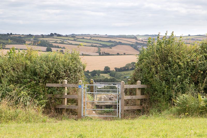 Gate at Drunkards Hill - Aveton Gifford 01-08-25.jpg