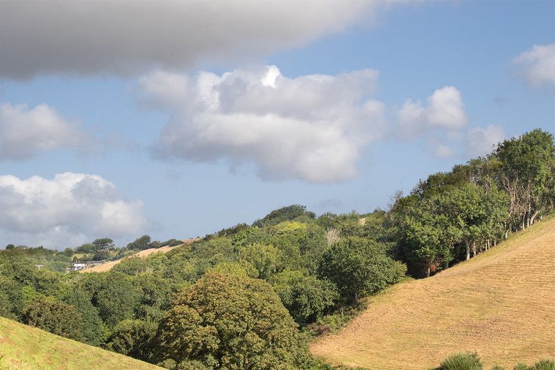 Steep Fields at Motherhill Farm - Salcombe 06-08-22.jpg