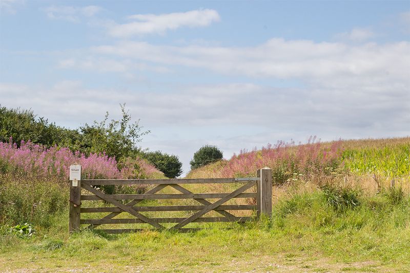 Entrance to Woodleigh Wood 08-08-25.jpg