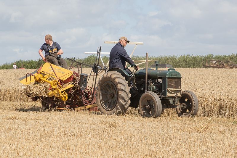 Tractors - working 09-08-25 #01.jpg