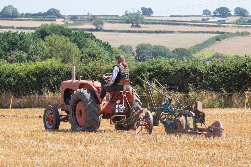Tractors - working 10-08-25 #08.jpg