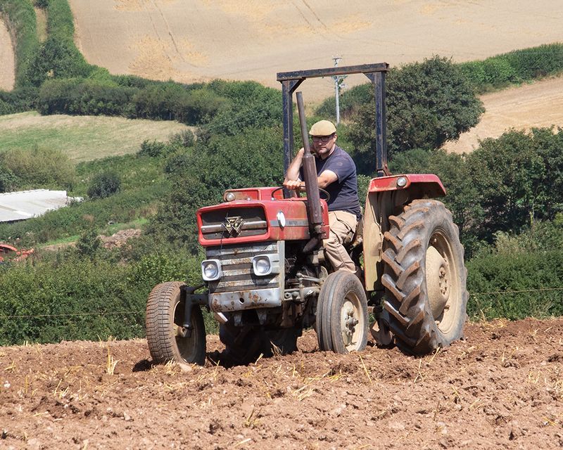 Tractors - working 10-08-25 #09.jpg