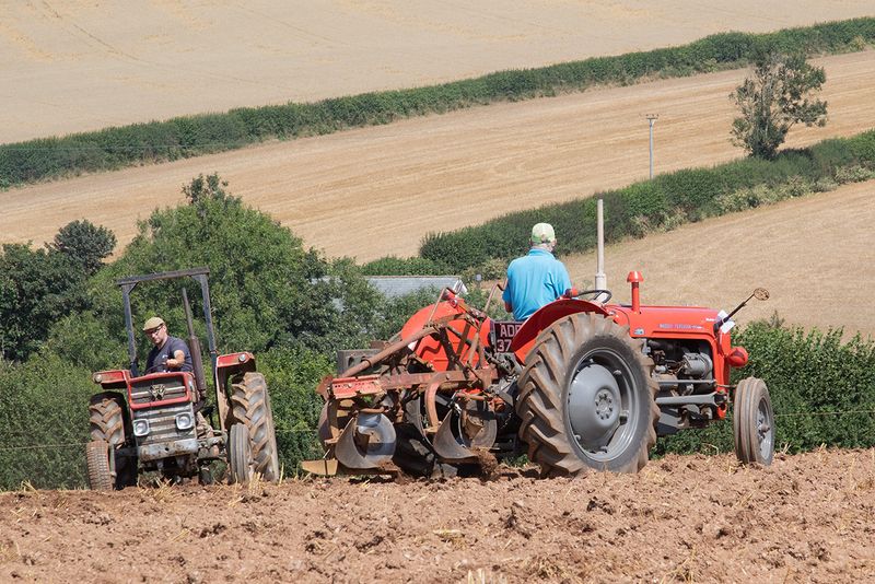 Tractors - working 10-08-25 #13.jpg