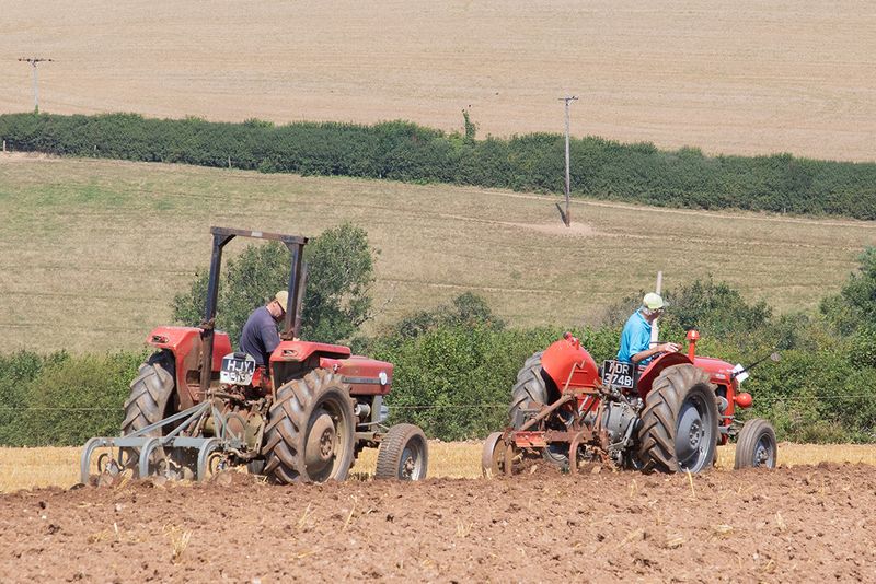 Tractors - working 10-08-25 #15.jpg