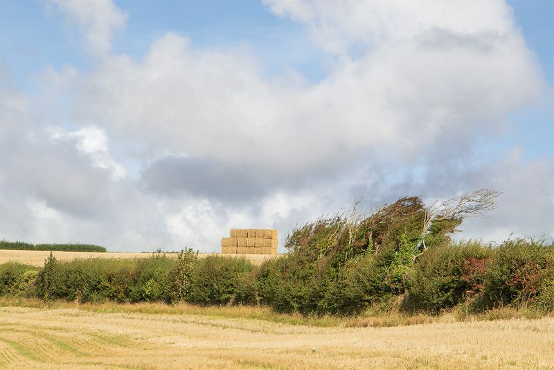 Snapes Point - Salcombe 05-09-25.jpg