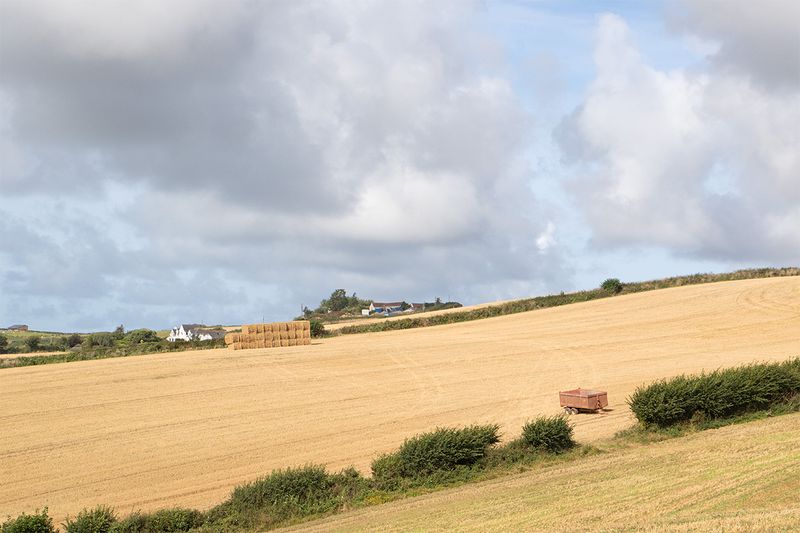 Week 37 - Harvested - Snapes Point - Salcombe.jpg
