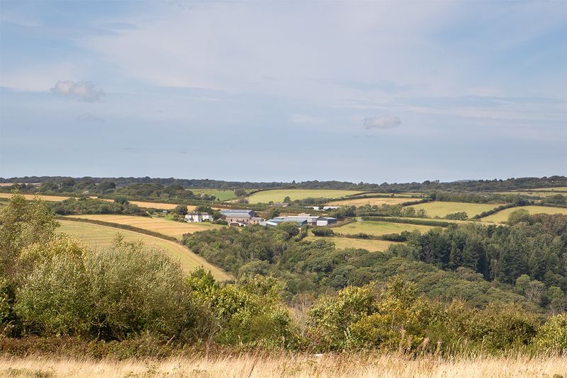 View from Woodleigh Wood 06-09-25.jpg