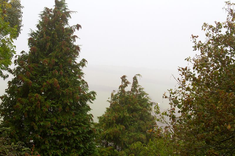 A dismal day 17-09-25 #3814.jpg