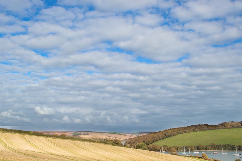 Salcombe Harbour from Snapes 17-10-25.jpg