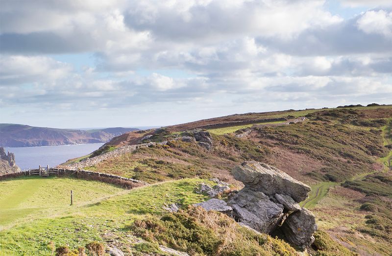 Week 49 - Cliff Path near Bolt Head.jpg