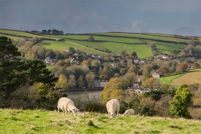 Week 44 - Batson Creek - Rain coming.jpg