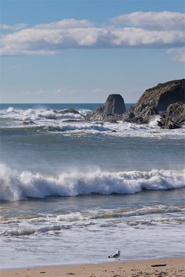 Week 10 - Warren Point from Leasfoot Beach.jpg