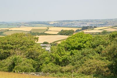 Looking towards Dartmoor from Tor Woods 15-06-23.jpg