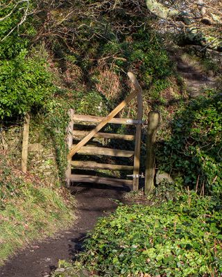 Week 01 - Woodland Gate.jpg