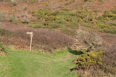 Week 2 - Coast Path at Starehole Valley.jpg