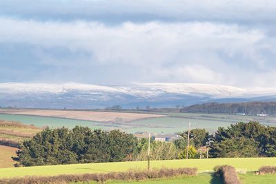 Week 10 - Snow on Dartmoor.jpg