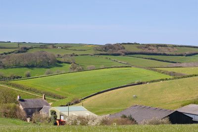 Week 16 - Motherhill Farm.jpg