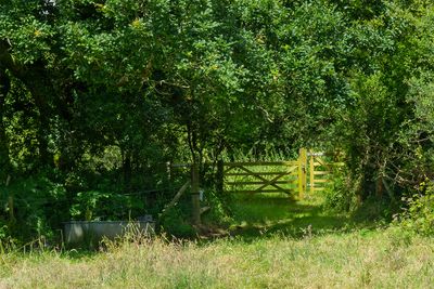 Week 24 - Andrews Wood Gate.jpg