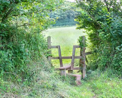 Week 28 - South Milton Reedbed Style.jpg