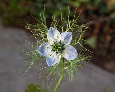 g13/49/898249/3/175030164.1b561231.JPEG