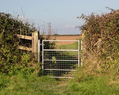 Week 50 - Coast Path Gate near Middle Soar Malborough #2.jpg