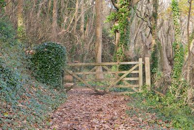 Coast Path Gate near Bar Lodge - Salcombe 22-11-24.jpg