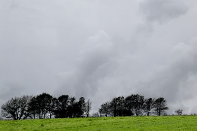 Increasing cloud - Mill Farm South Milton 22-10-25.jpg