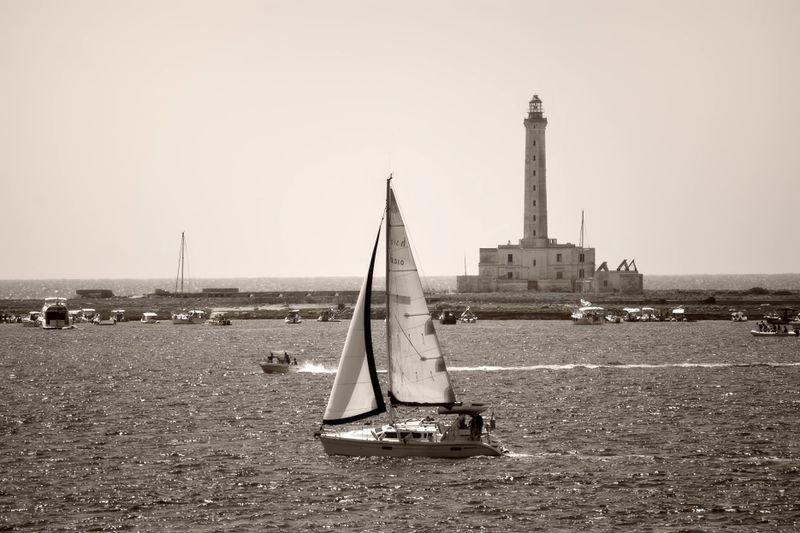 The Lighthouse