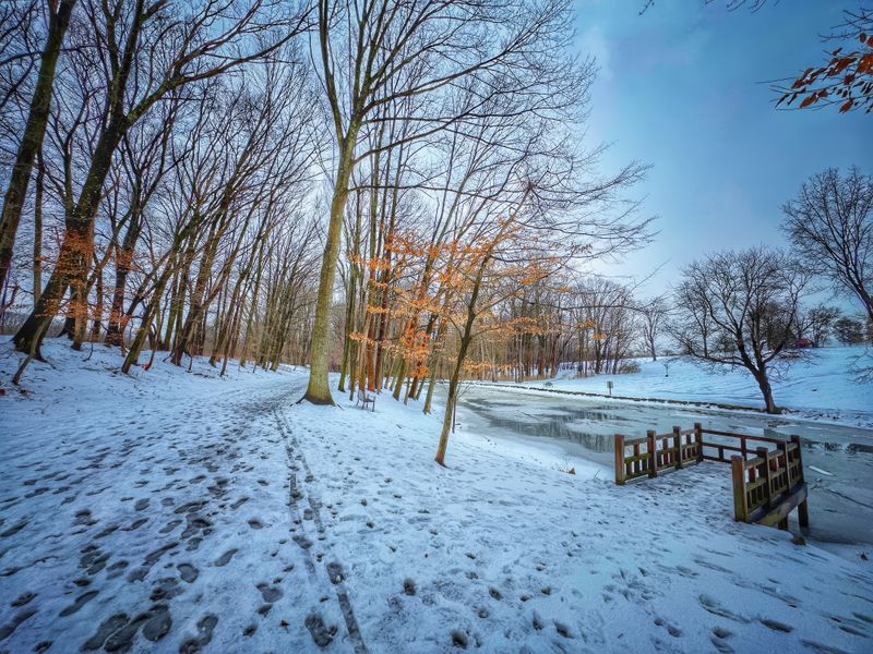 Waveny Park