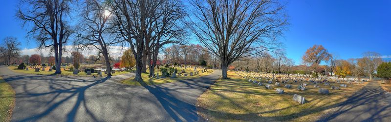 Spring Grove Cemetery
