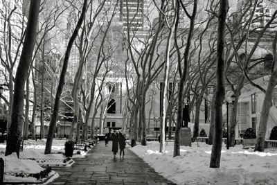 A Walk in the Park