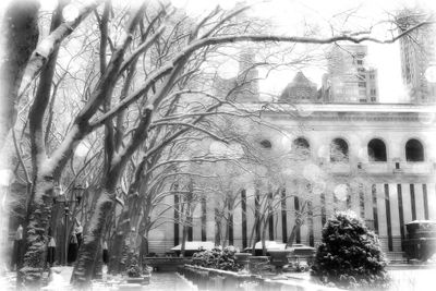 Winter Scene on First Day of Spring 2015