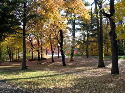 Fall Colors