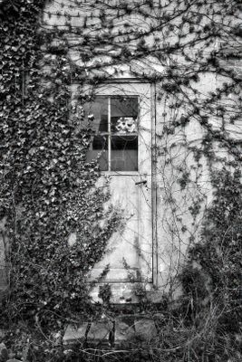 Forlorn and Overran