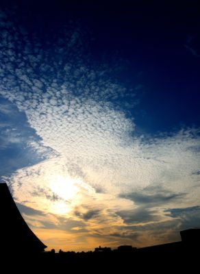 Cirrus Clouds