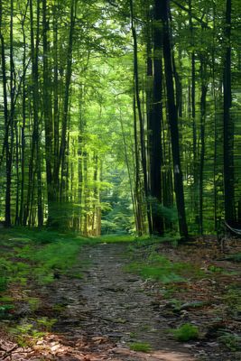 Trailhead of Blue Trail