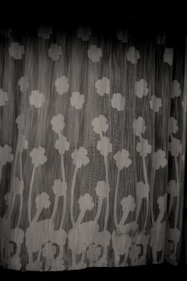 A Curtain between the Street and their Home