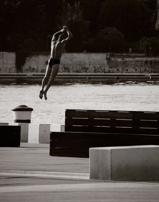 Harbor Swimmer