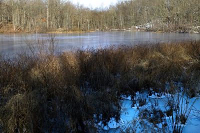g13/50/1174650/3/170331643.754b5cb7.JPEG