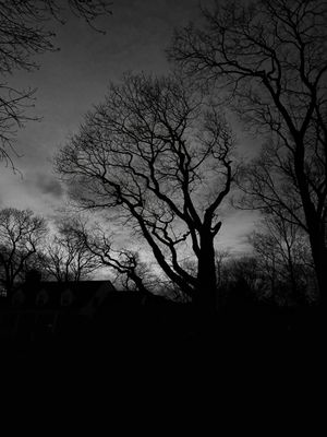 g13/50/1174650/3/174339440.30c5b37c.JPEG