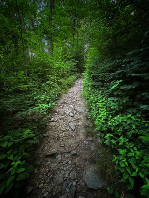 Bradley Park