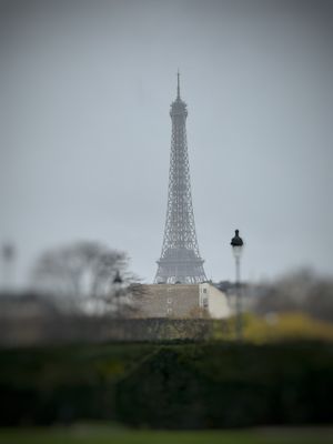 g13/50/1174650/3/175142059.7ecee571.JPEG