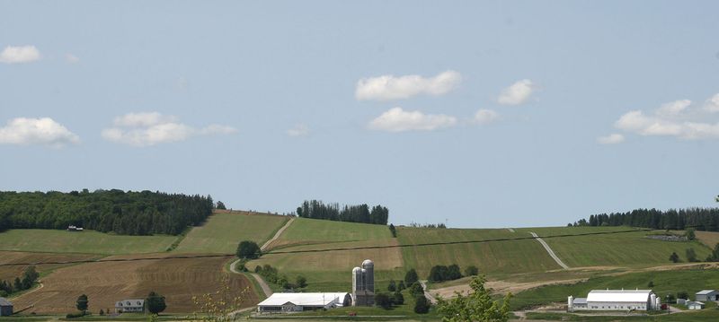 A nice sunny day