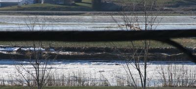 The river is freezing.