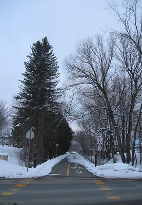 IMG_0549.jpg