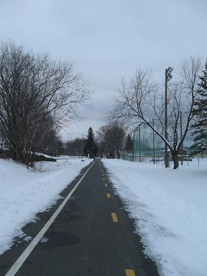 IMG_0545.jpg