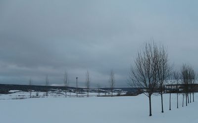 IMG_0543.jpg