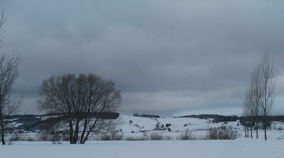 IMG_0540.jpg