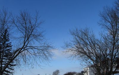 IMG_0616FFF.jpg